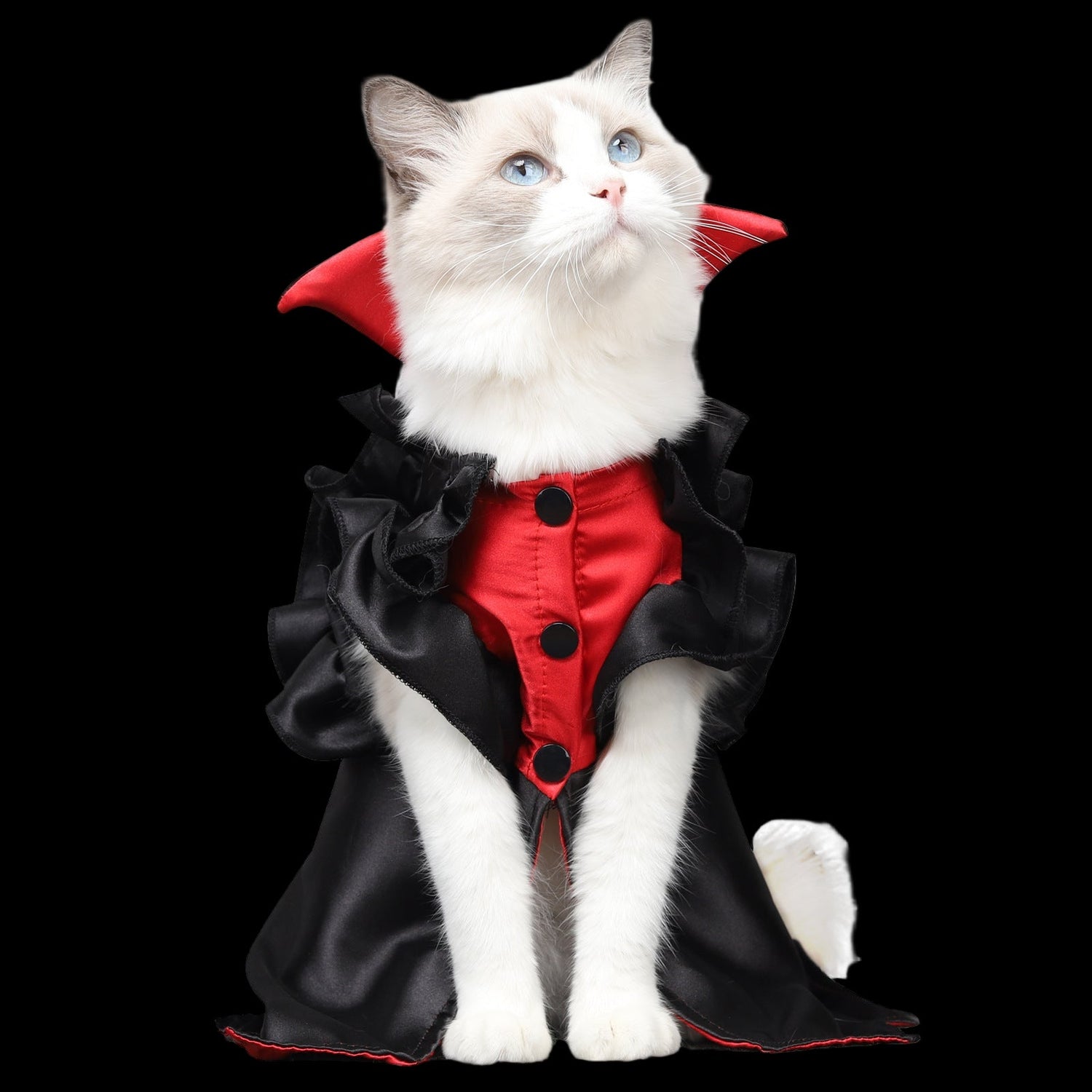 Pet's costumes
