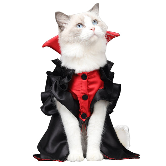 Cat wearing Halloween vampire costume front view.