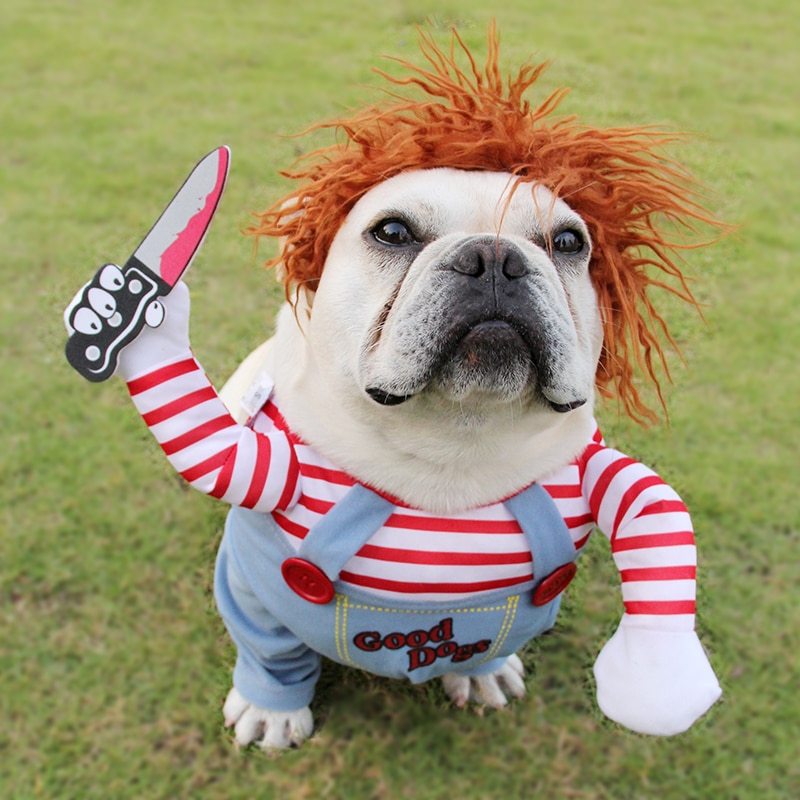 Funny pet dog costume with red striped shirt and blue overalls